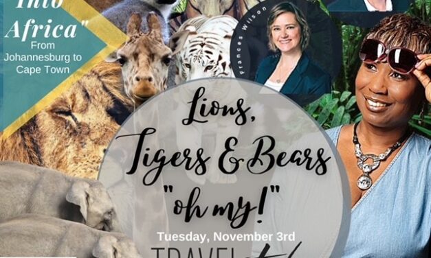 Lions Tigers and Bears Part 1